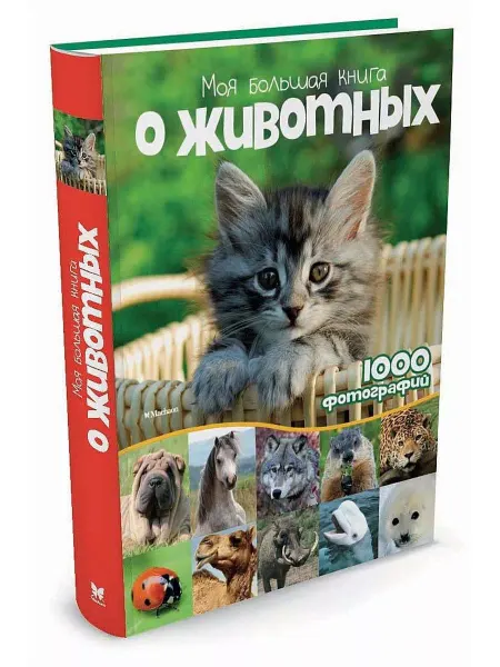Издательство Махаон Наталья Куйе Моя большая книга о животных. 1000 фотографий