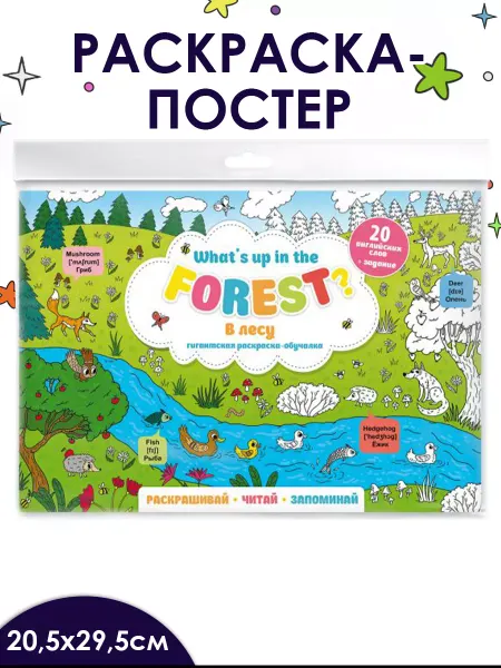 Феникс+ Раскраска - постер В ЛЕСУ 80х58см в разложенном виде