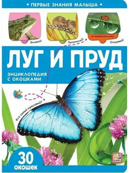 Malamalama Луг и пруд. Энциклопедия. Книжка-картонка с окошками
