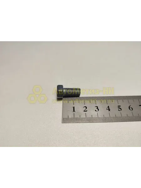 КРАСНАЯ ЭТНА Болт М8х1х16 20 шт