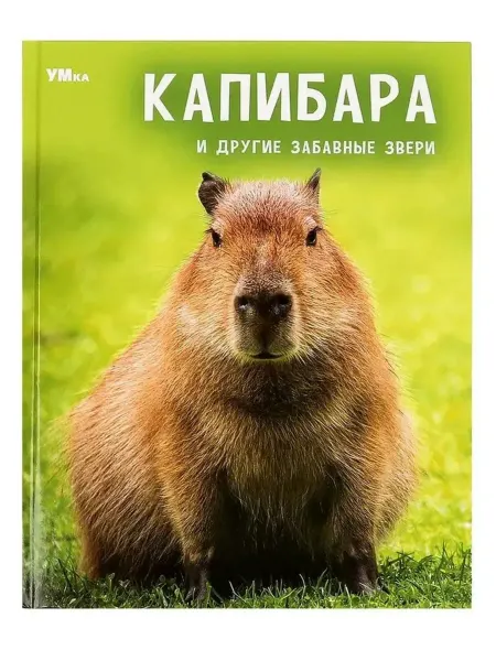 Умка Капибара и другие забавные звери Энциклопедия