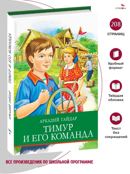 Издательство Стрекоза Тимур и его команда. Школьная программа