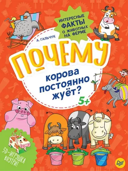 ПИТЕР Почему корова постоянно жуёт?