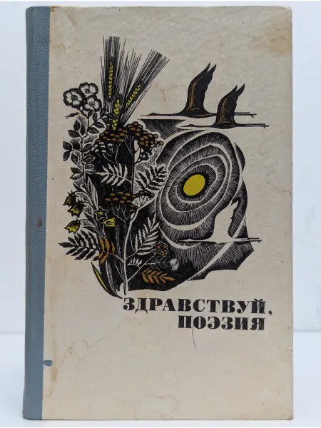 БУКИТИР Здравствуй, поэзия