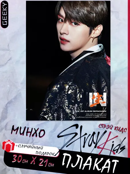 Geeky Постеры stray kids 5 star Ли Минхо строй кидс skz Lee Know