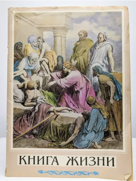Белпринт Книга жизни