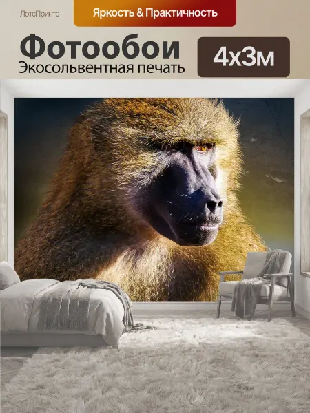LotsPrints Фотообои "Животное, обезьяна, бабуин" 4x3м