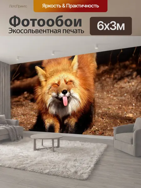 LotsPrints Фотообои "Лиса, веселье, язык" 6x3м