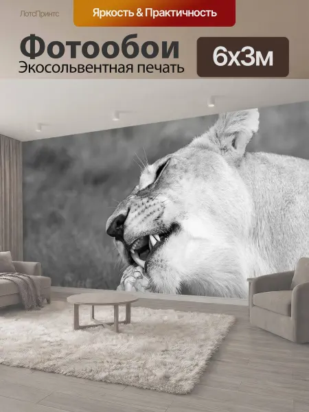 LotsPrints Фотообои "Кормление львица, лев, дикая природа" 6x3м