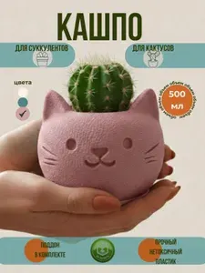 Кашпо "Милый котик" для кактусов и суккулентов, объем 0,15 л