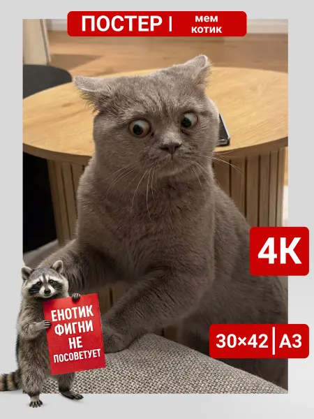 Постер мем котик