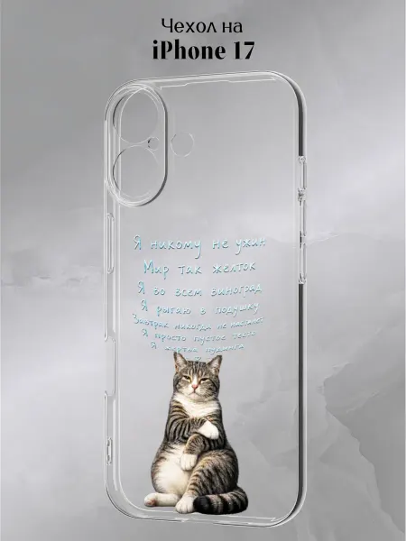 Slow Hold Чехол на iPhone 17 смешной