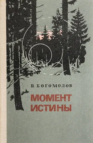Момент истины | Богомолов Владимир Осипович