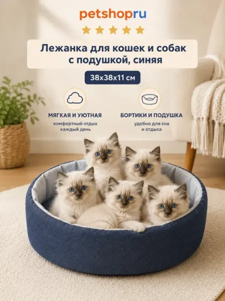 PetShop Лежанка для кошек и собак с подушкой, синяя, 38х38х11 см