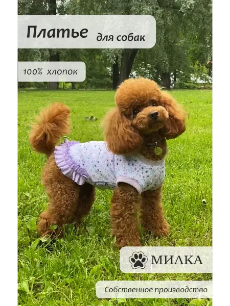 МИЛКА - Pets Платье-майка для собак