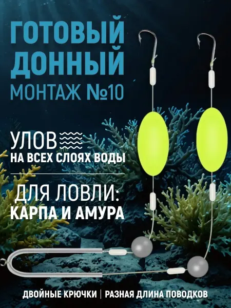 Alpha Готовый донный монтаж №10 (2 крючка)