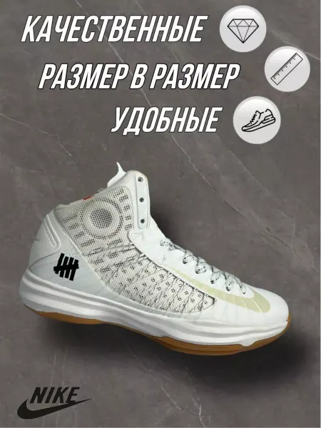 Astana Shoes 3 Кроссовки баскетбольные Nike