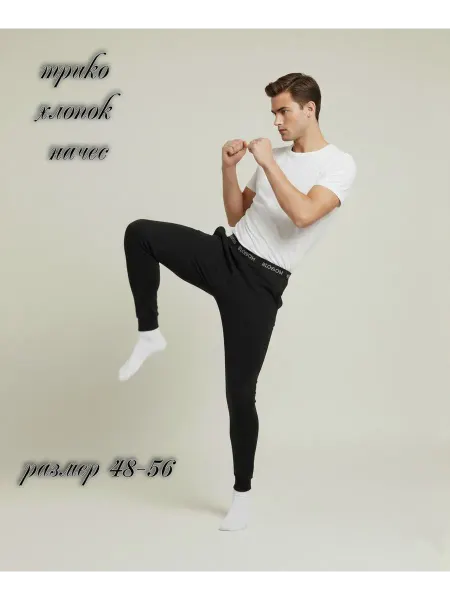 BLOSSOM MEN'S Трико мужские спортивные однотонные с начесом