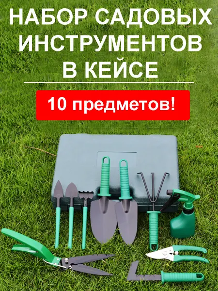 Набор инструментов для сада и дачи