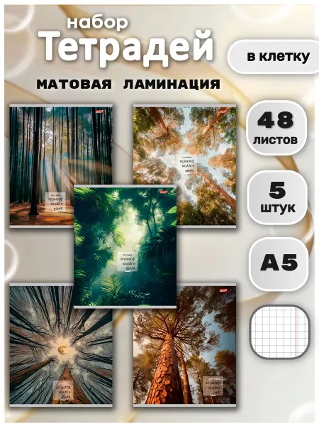 AlexTop Тетрадь 48 листов в клетку 5 штук