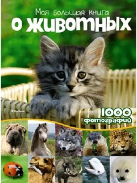 Махаон Моя большая книга о животных