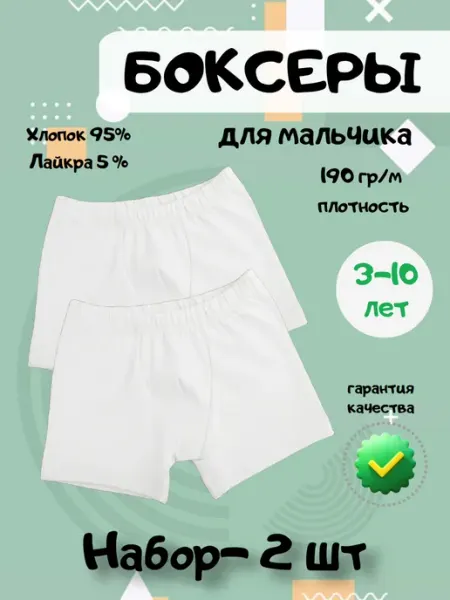 ZashitoKids Трусы-боксеры 2 шт