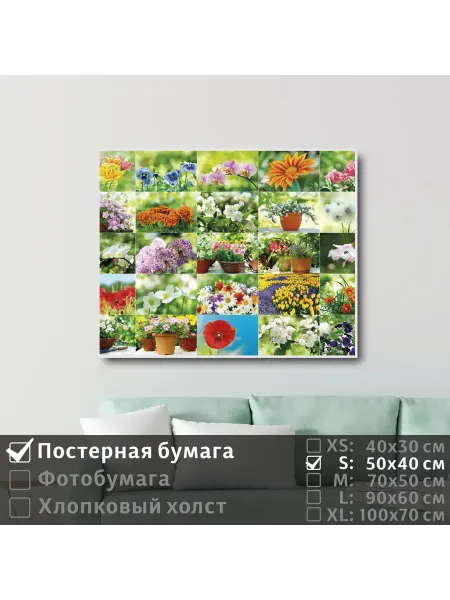 ПолиЦентр Постер на стену "Коллаж из красивых цветов" 50х40 см