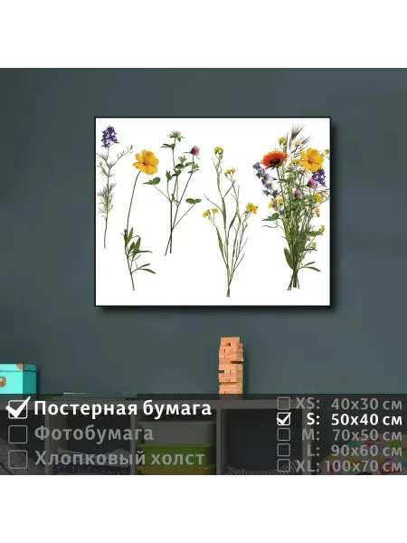 ПолиЦентр Постер на стену "Коллаж из полевых цветов" 50х40 см