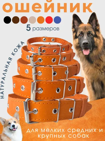 Берта ZOO STORE Ошейник для собак мелких средних пород кожаный