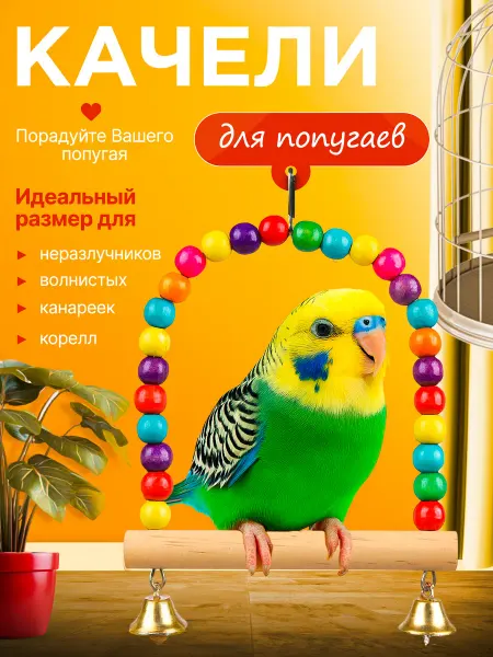 Качели для птиц попугаев